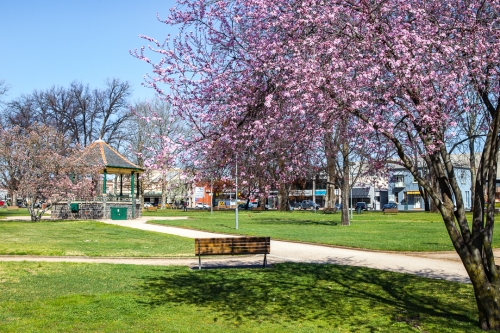 Robertson Park